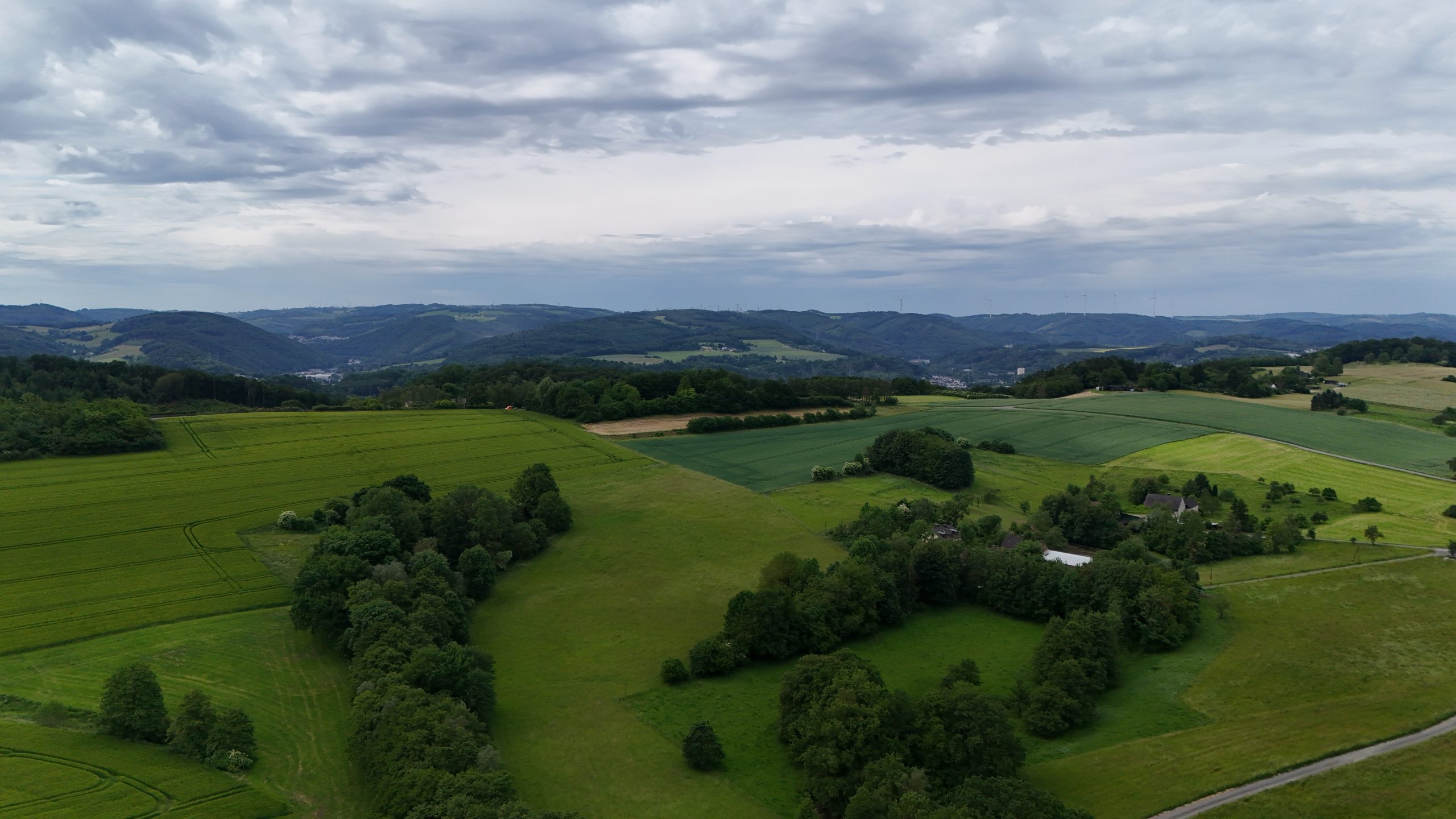 dji_fly_20260602_104010_0224_1780389752722